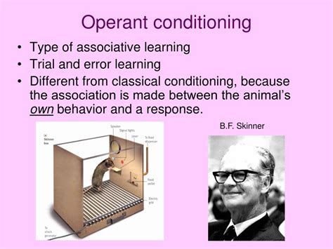 Image result for Fixed Action Pattern