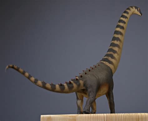 Afbeeldingsresultaten voor Pnso Alamosaurus