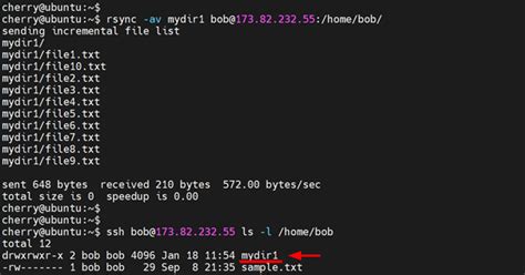 Image result for Linux Rsync Server