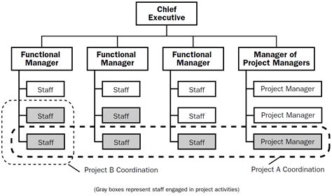 Image result for Director of Project Management Diagram