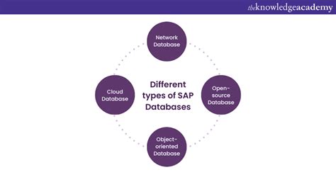 Image result for SAP Database