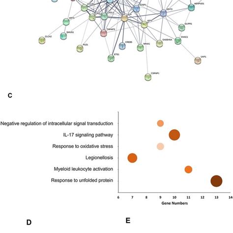 Toradh íomhá ar mRNA Microarray Analysis