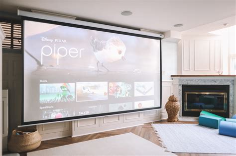 Afbeeldingsresultaten voor Project Duplicate Screen