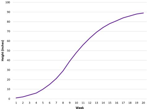 How to Read a Semi-Log Graph (With Examples)