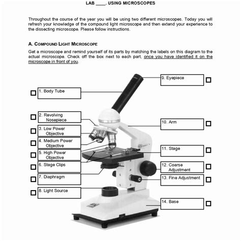 Toradh íomhá ar Using a Microscope Parts of a Microscope