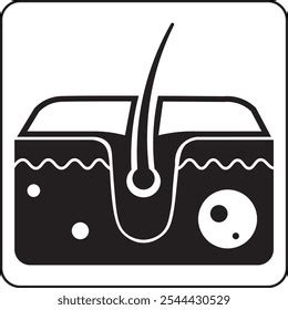 Afbeeldingsresultaten voor Skin Growth Cycle