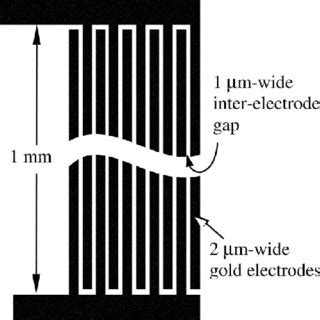 תוצאת תמונה עבור Electrode Array Device
