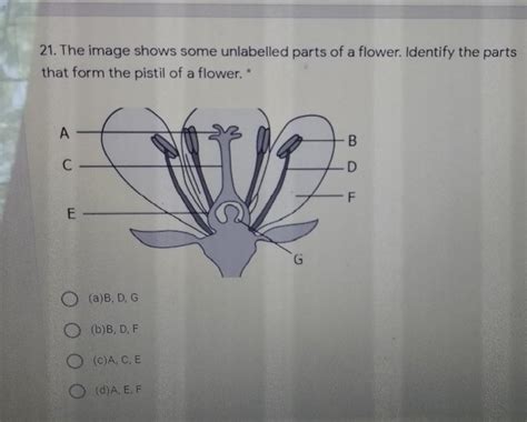 Flower Diagram Unlabelled に対する画像結果