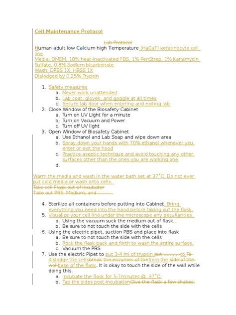 Image result for Graphical Summary of a Lab Protocol Examples