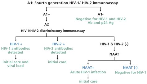 Image result for New HIV Testing Algorithm