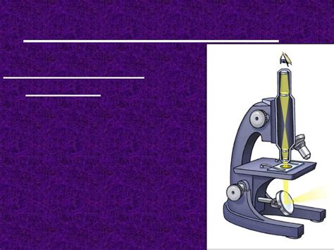 Les Type De Microscope に対する画像結果
