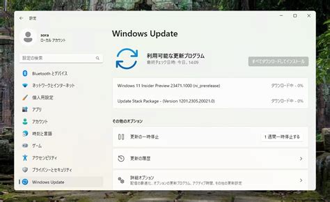 Dev Channel Windows 11 に対する画像結果