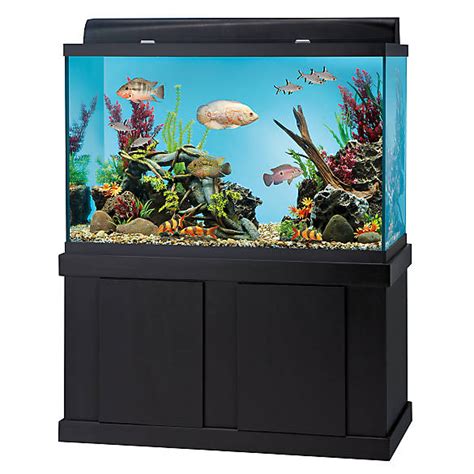 PetSmart 125 Gallon Aquarium に対する画像結果