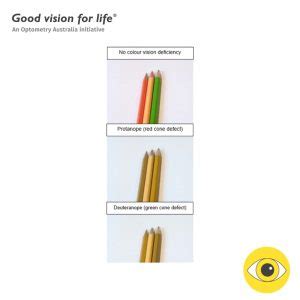 Image result for Washed Out Color Vision