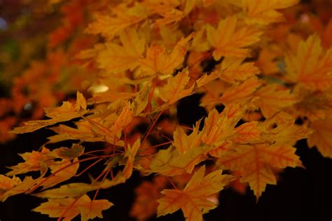 Image result for iPad Python Coding