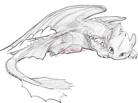 Image result for Toothless Drawings