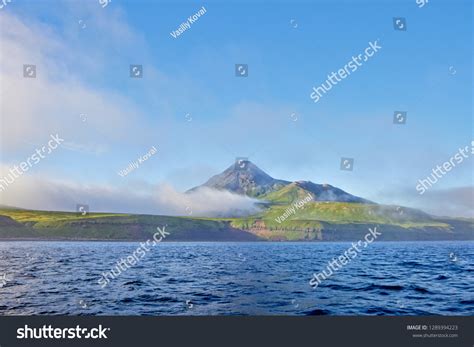 Image result for Finding Nemo Fish Tank Volcano