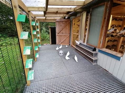 Image result for Build a Simple Pigeon Loft