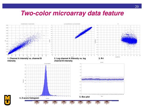Two Colour RNA Microarray に対する画像結果