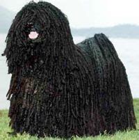 Image result for Commodore 64 Joystick