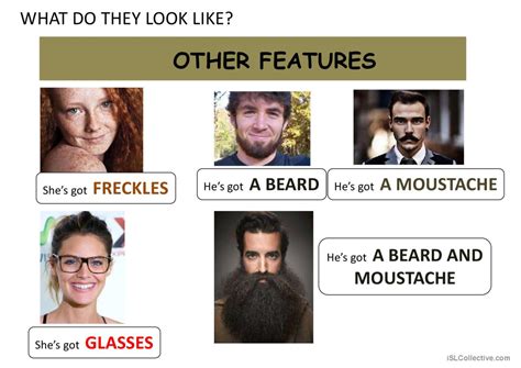 Image result for What Do They Look Like