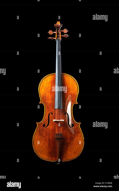 Image result for Beautiful Cello