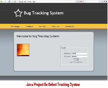 Image result for Bug Tracking System in Java