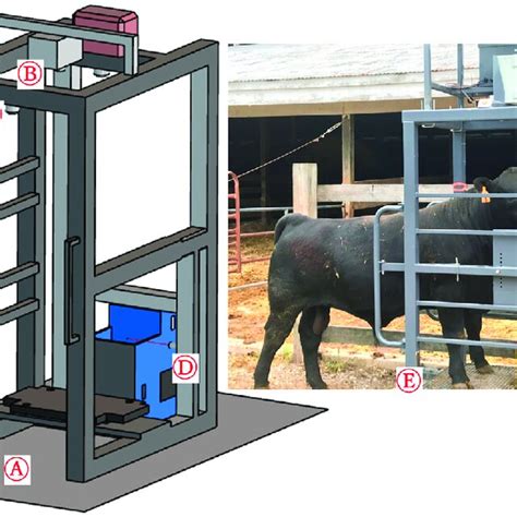 Mainframe Structure എന്നതിനുള്ള ഇമേജ് ഫലം