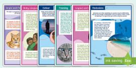 Image result for Visual Literacy Texts