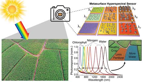 Multispectral Imaging Principle に対する画像結果