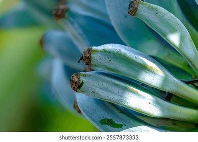 Image result for Java Images with Blue Background