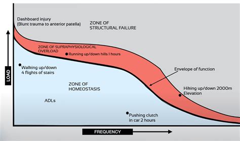 Restricted Envelope of Function に対する画像結果