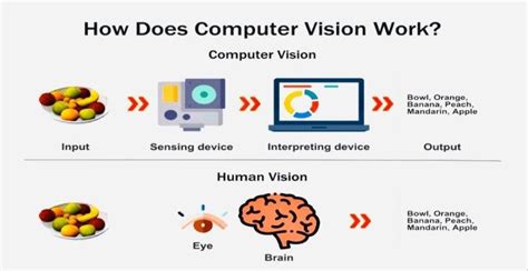 Image result for Human Eye as Computer Vision System
