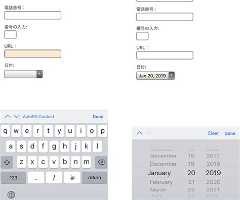 Input Element に対する画像結果