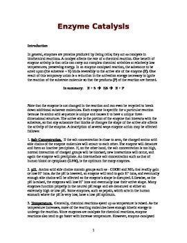 Catalyst Lab Report Pic എന്നതിനുള്ള ഇമേജ് ഫലം