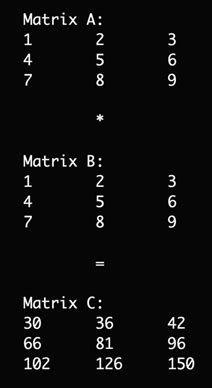 Image result for Accessing 2D Array Elements Using for Loop