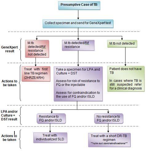 Toradh íomhá ar GeneXpert TB Diagnosis