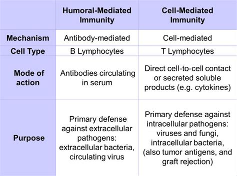 Afbeeldingsresultaten voor Types of Immunity MCAT