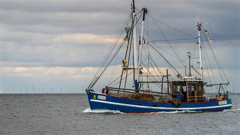 How to Crab Hold Mouse के लिए छवि परिणाम