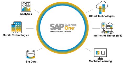 Image result for SAP B1 Project Module