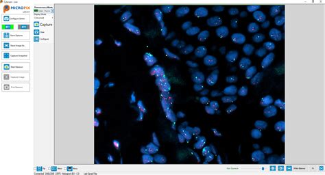 Toradh íomhá ar Software for Digital Microscope