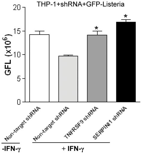 Image result for THP-1 Flow Cytometry