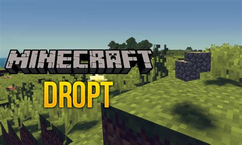 Image result for Random Block Drop Mod Minecraft Java Download Planet Minecraft