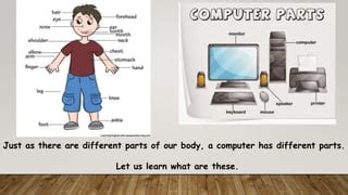 Image result for Body Part in Computer