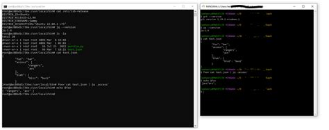 Toradh íomhá ar Bash Example