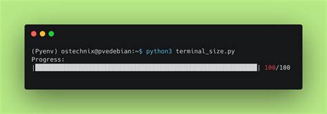 Image result for Terminal Window Python