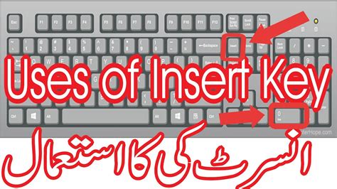 Function Insert Key に対する画像結果
