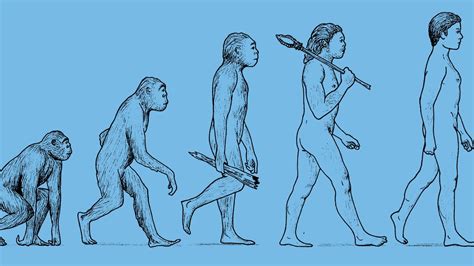 Proof of Human Evolution に対する画像結果