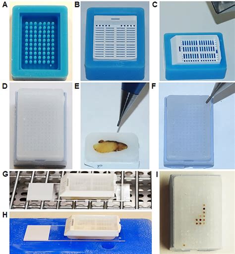 Bildergebnis für Damaged Microarray
