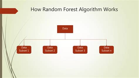 Explain Random Forest Algorithm with Example に対する画像結果